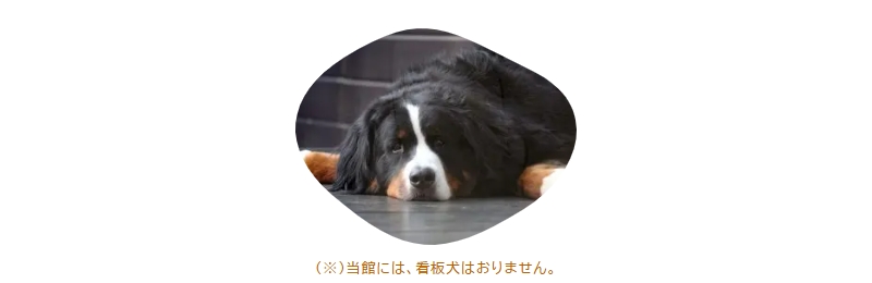 看板犬について